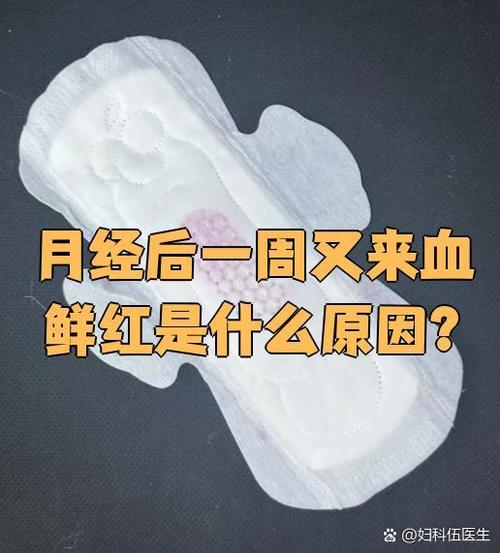 月经后一周又来血鲜红截图