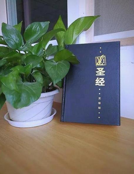 灵修圣经app下载