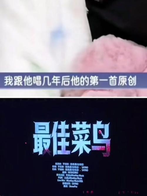 最佳菜鸟原创是谁
