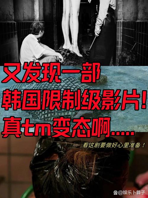 9号电动车解除限制时速