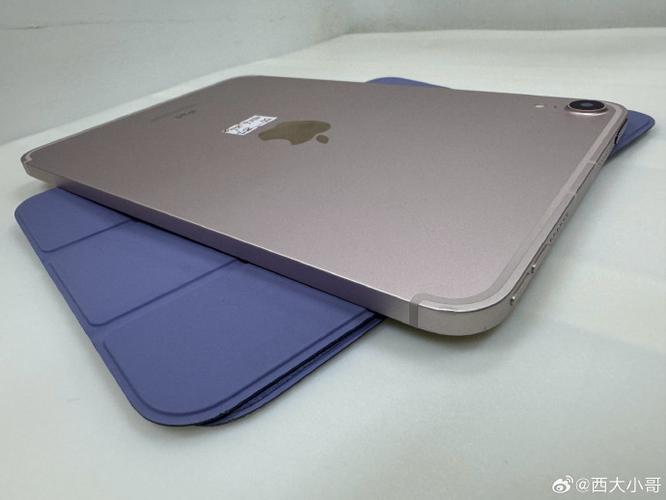 ipadmini6有插卡版吗