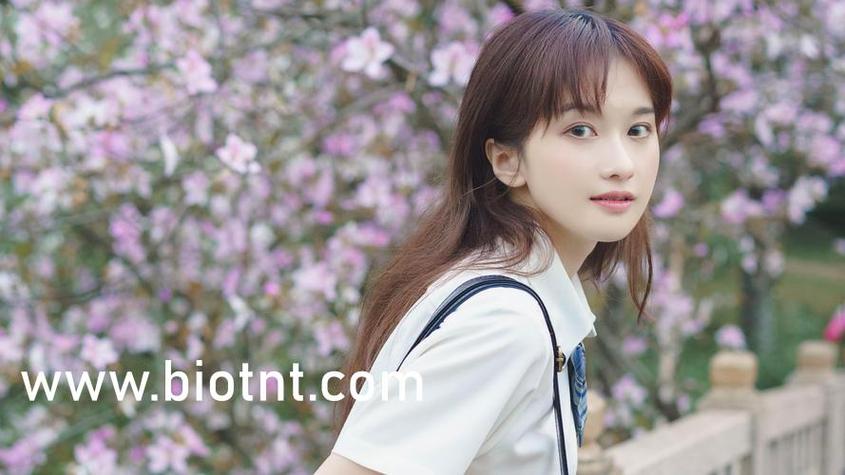 追到她乖(黑暗森林)顾