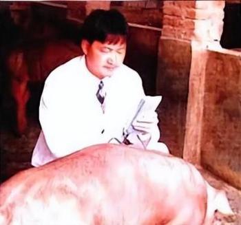 今年养猪赚钱最多的人