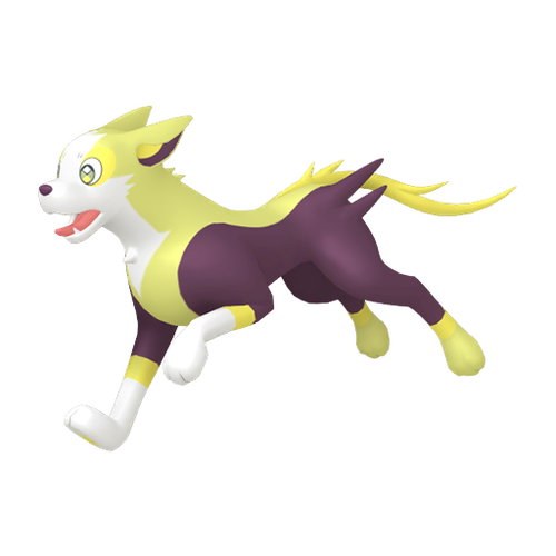 逐电犬种族值