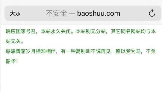宝书网官方关闭公告