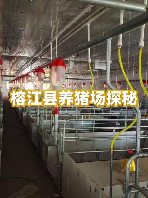国家现在对养猪有哪些政策支持