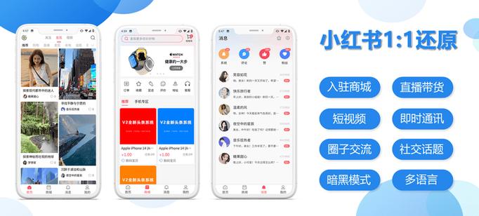 app源码是什么