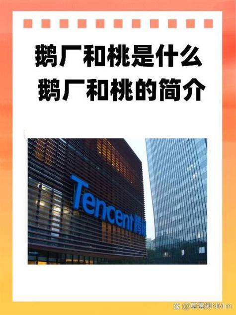 企鹅步数是哪个公司的