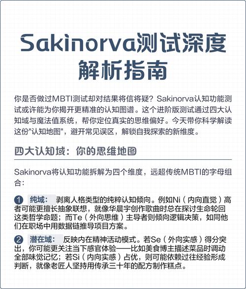 sakinorva测试中文版