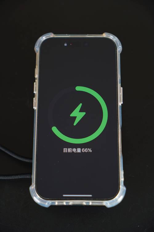 台铃电动车电量显示图标