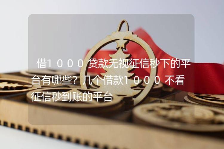 不看征信1000元秒下截图