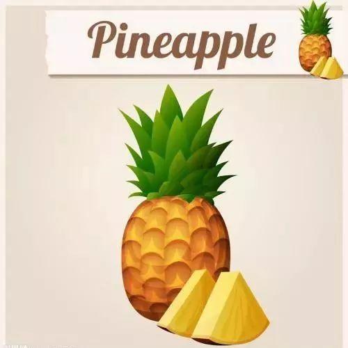 pingapple是什么意思