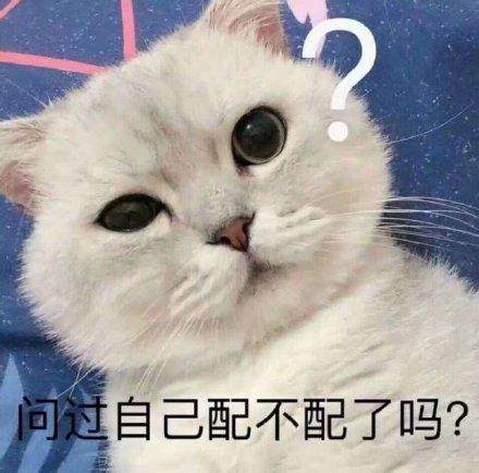 表情包自己配字
