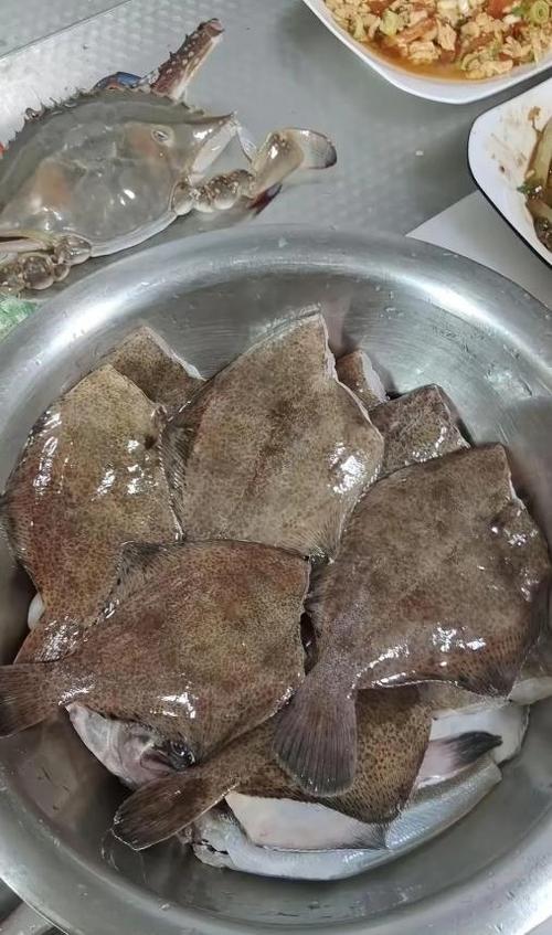 小嘴鱼和偏口鱼的区别图标