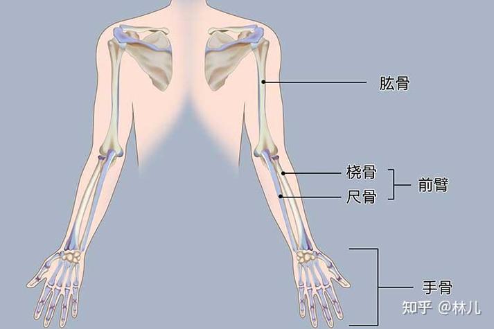 生命之泉指什么位置