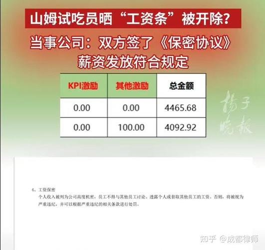 赛尔员工资一览表