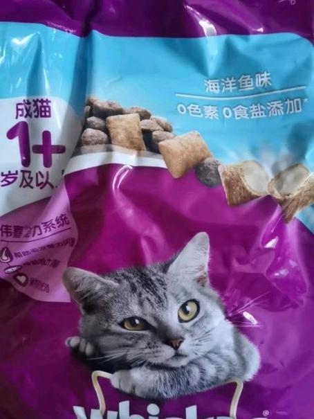 买不起猫粮给猫吃什么