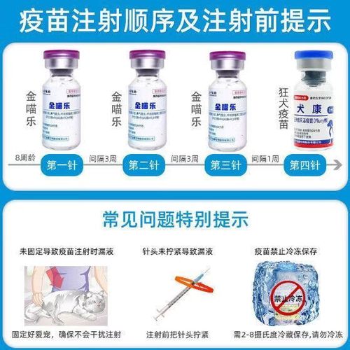 已经得了杯状还打猫三联吗