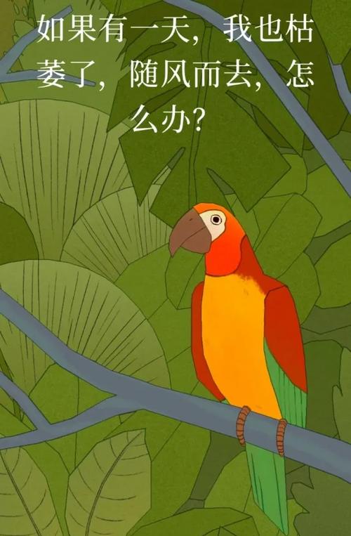 孤独的鸟儿游戏特色和玩法