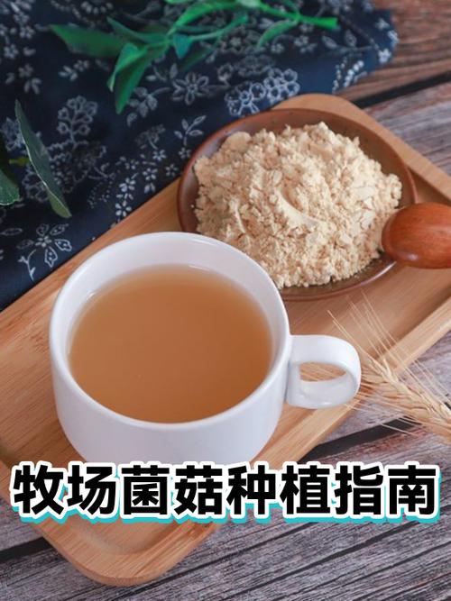 菌菇种植技术哪里学缩略图
