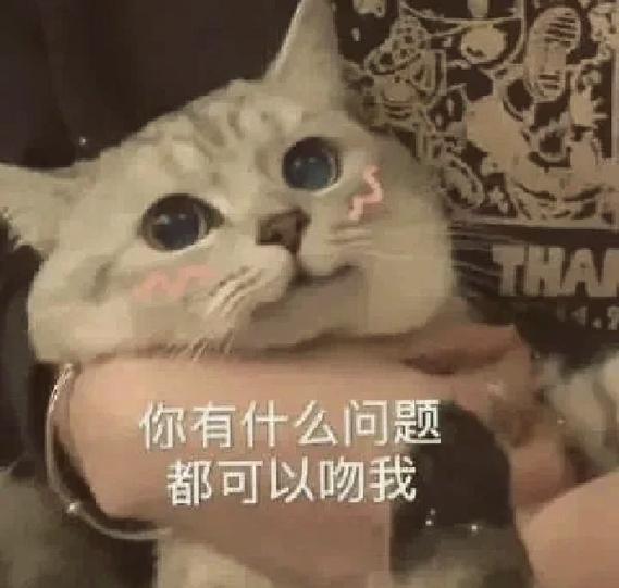 互动表情包