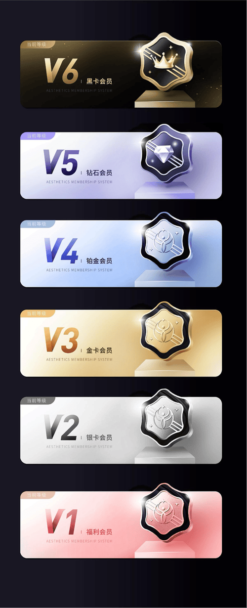 dior会员等级划分游戏截图