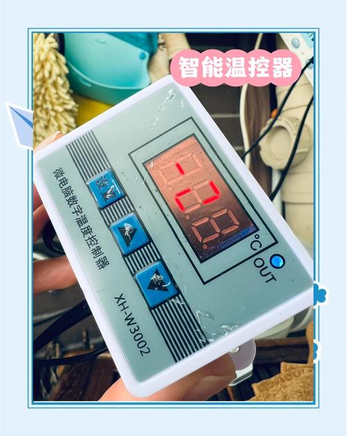 电脑帧数温度实时显示