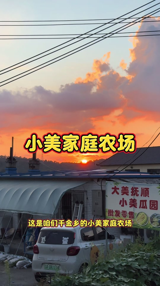 小美在农场的那星期