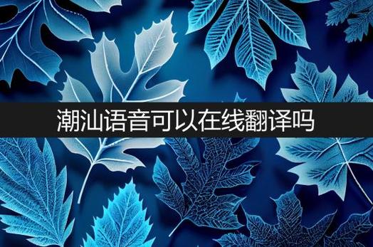广东潮汕话在线翻译