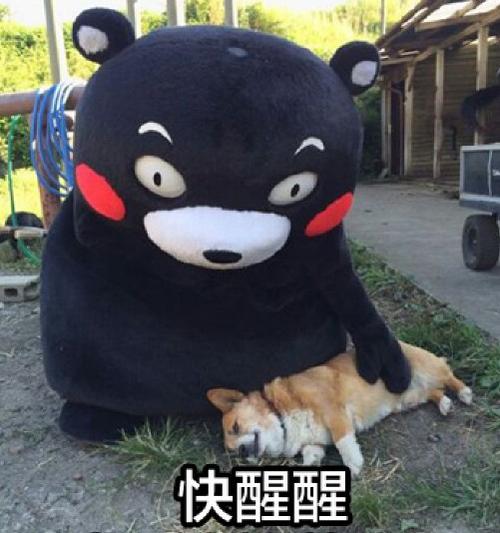 醒一醒表情包