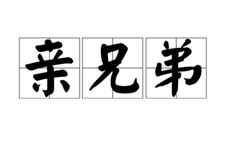 亲兄弟算几伏