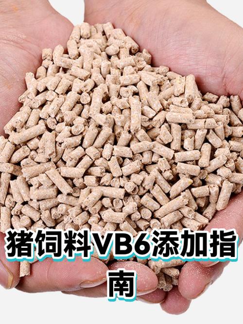 vb6.0有哪三个版本缩略图