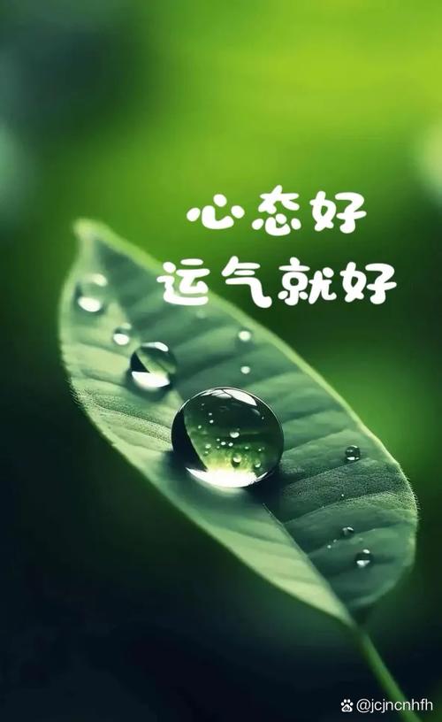 改运气最快的方法游戏截图