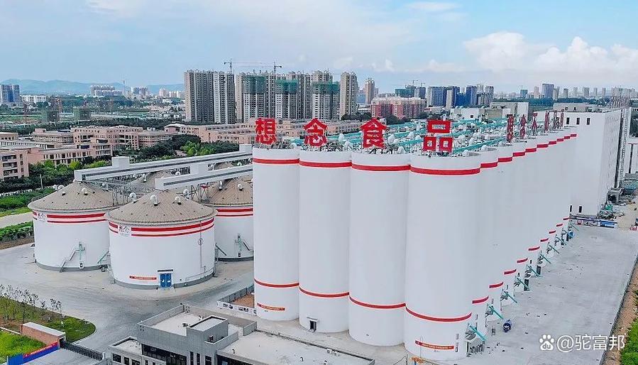 思念上市了吗截图