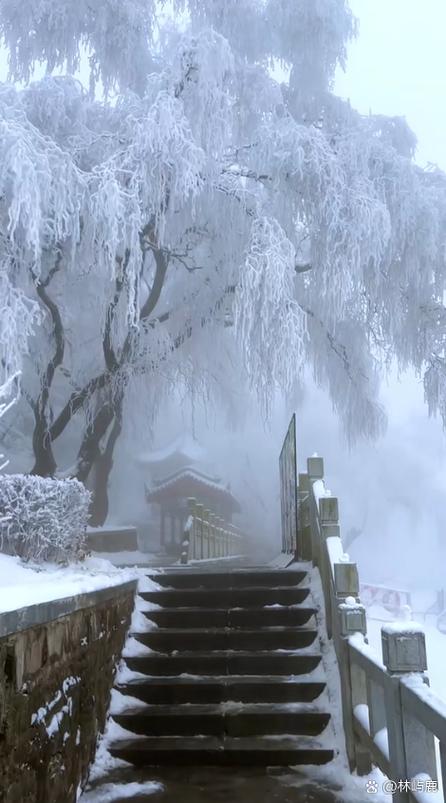 一想到以前下着雪还有些暖