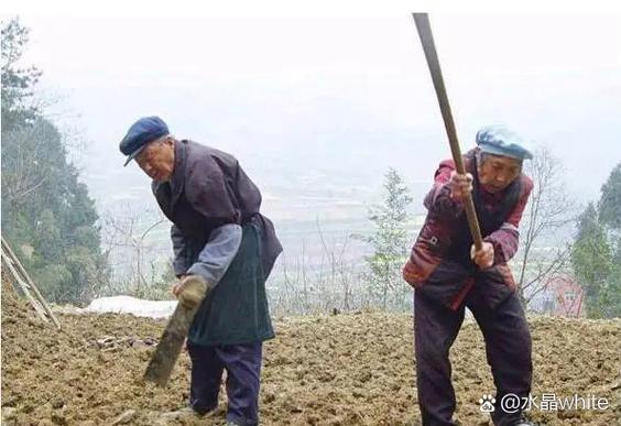 农民都不种地以后吃什么