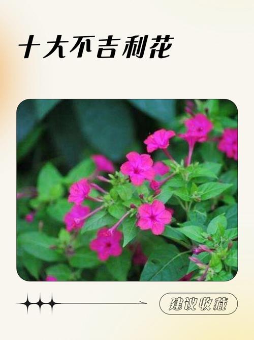 唯品花10大忌截图