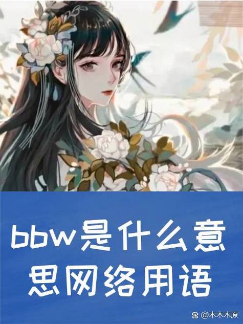 bsd是什么网络用词