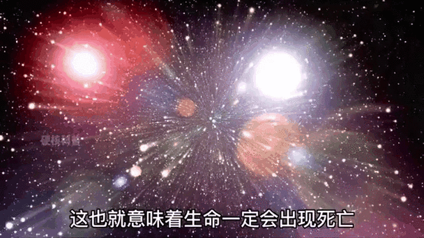 闲鱼卖家不让看动态可靠吗