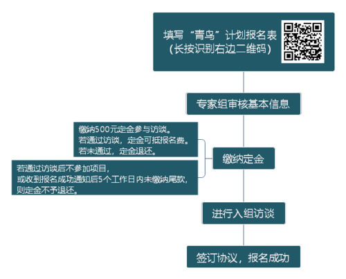 青鸟计划工作内容截图