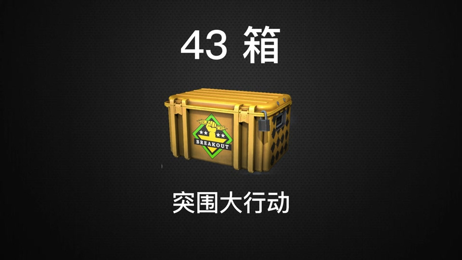大行动箱子数量