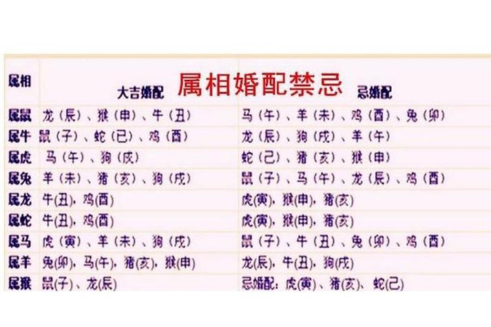 94年的狗今年婚姻状况如何图标