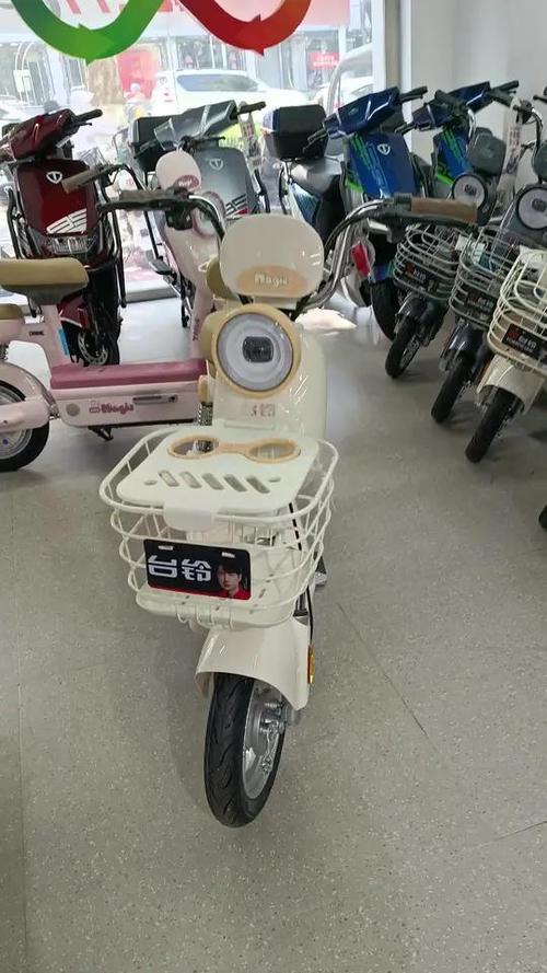 台铃圆圆超能版在哪里可以看起了多