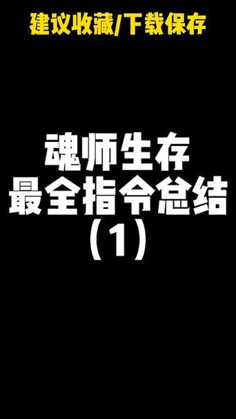 如何100%吸收魂环指令