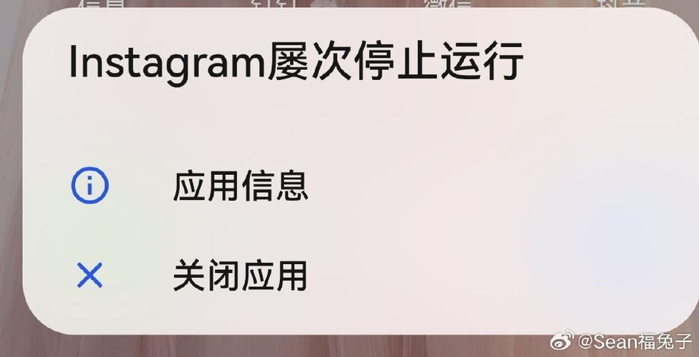 如何解决ins闪退图标