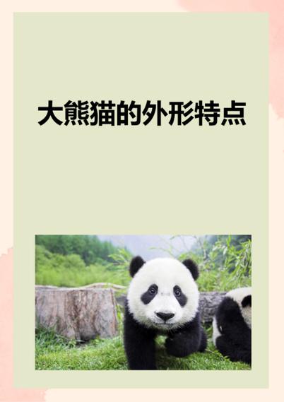 熊猫的特征