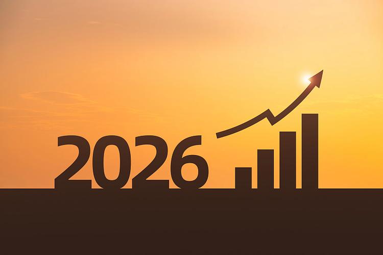 视觉中国2026目标价
