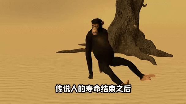 狒狒小弟全集合集
