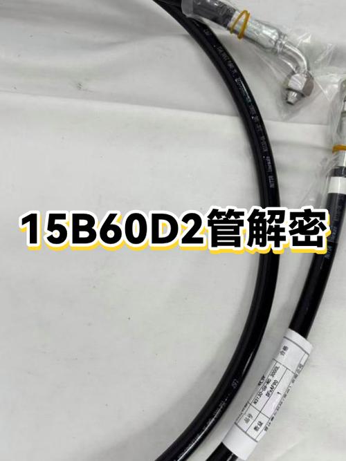 水电图中TF和NT是什么意思