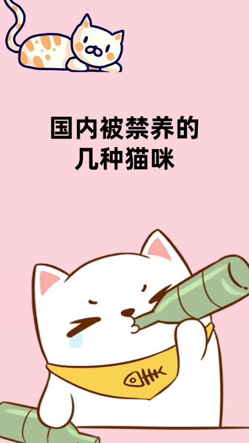 母猫地上打滚要警惕四种病游戏截图